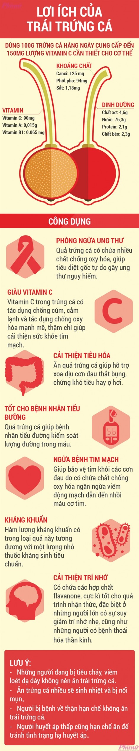 Bất ngờ trái trứng cá hoang dại ngừa được nhiều bệnh