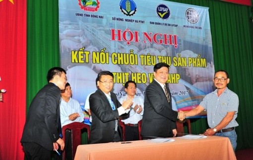 MM Mega Market Việt Nam đầu tư dự án tiêu thụ heo Đồng Nai