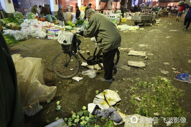 Cu ong 15 nam an rau nhat o cho khien dan mang tranh cai kich liet