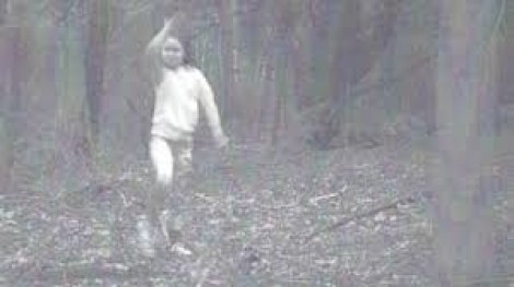 Hành tung bí ẩn của bé gái xuất hiện trong rừng bị nghi là ma