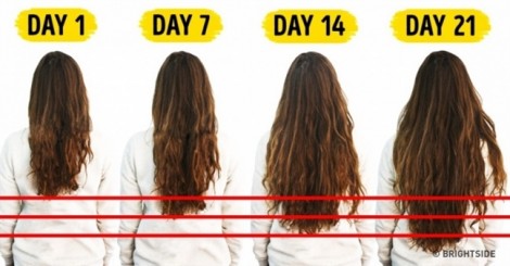 7 thực phẩm giúp mái tóc mọc dài nhanh chóng