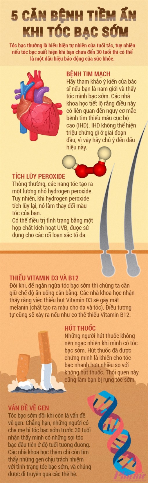 5 căn bệnh tiềm ẩn khi tóc bạc sớm