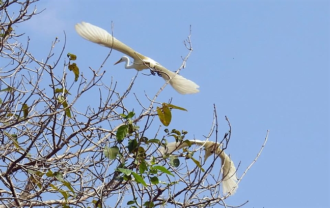 O doi, co gian kho moi biet thuong nguoi cung canh