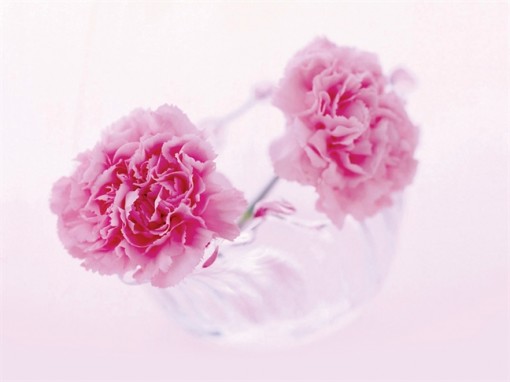 Tôi biến mình thành con ngốc khi tin anh xem tôi là người tình