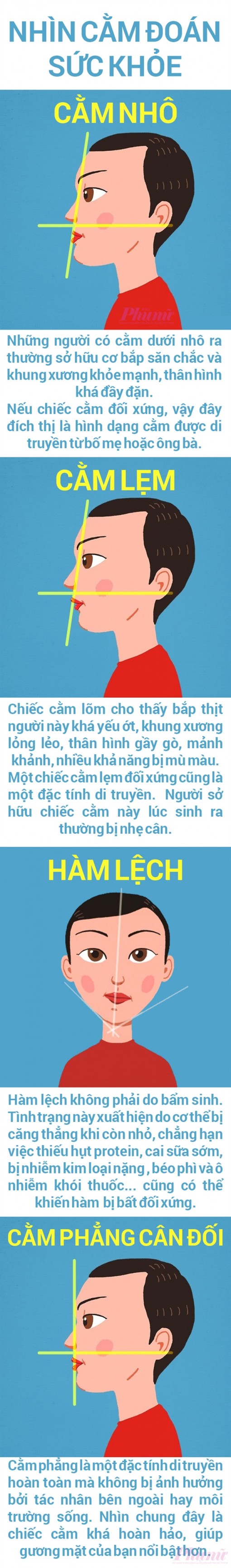 Nhìn dạng cằm biết sức khỏe