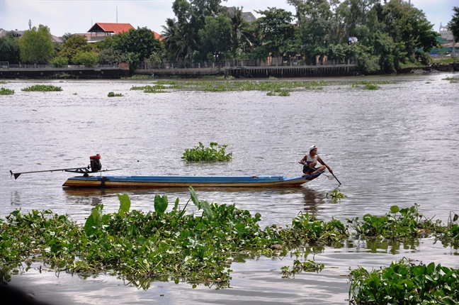 Ca phong sinh le Phat Dan vua duoc tha da bi chich dien