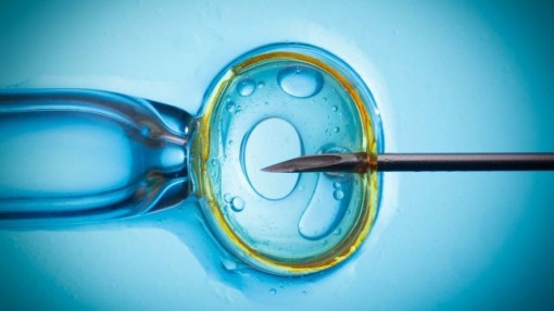 Tại sao thụ tinh ống nghiệm vẫn bị thai ngoài tử cung?