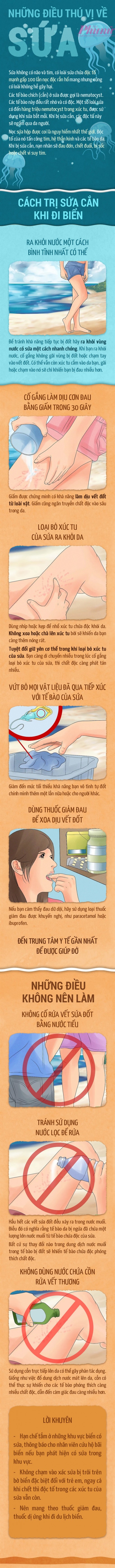 Cách trị sứa cắn khi đi tắm biển