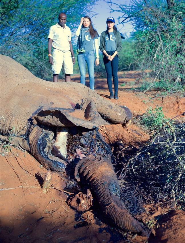 Pham Huong, Le Hang xuc dong khi chung kien canh voi bi giet hai o Kenya
