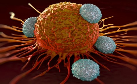 Tế bào ung thư có khả năng 'ngụy trang'