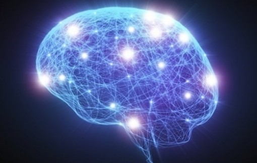 Người mang gen thông minh dễ bị... tâm thần