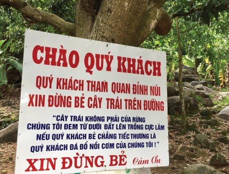 Lời van xin trên núi Bà Đen