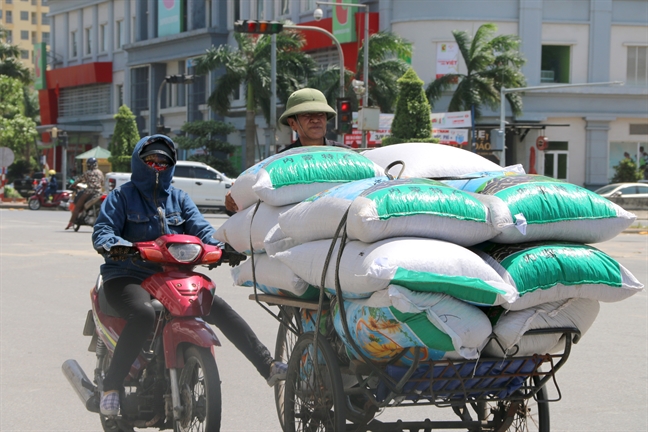 Dong canh ngo voi Ha Noi, nguoi dan thanh Vinh vao cong vien tron nong