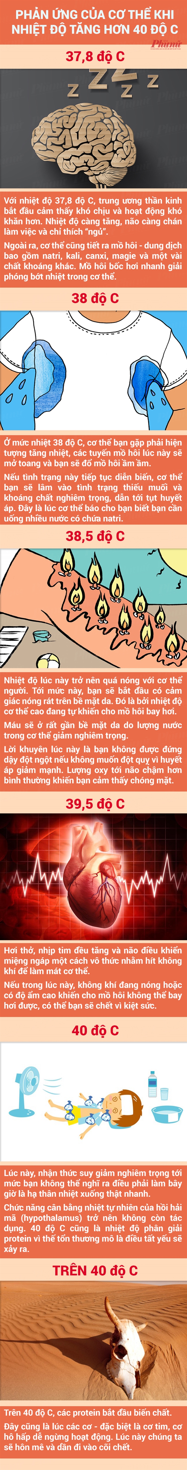 Phan ung cua co the ra sao khi troi nong hon 40 do?