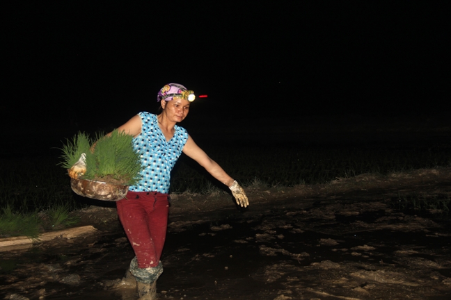 Nguoi dan xu Nghe xach den di cay dem tranh cai nong nhu do lua