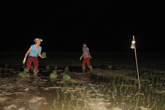 Nguoi dan xu Nghe xach den di cay dem tranh cai nong nhu do lua