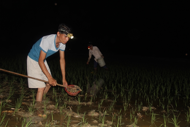 Nguoi dan xu Nghe xach den di cay dem tranh cai nong nhu do lua