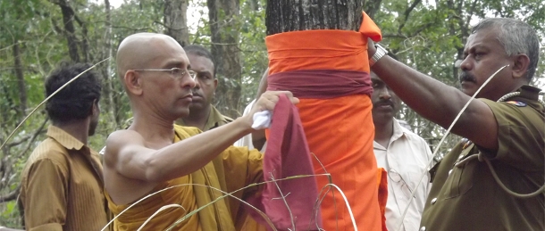 Sri Lanka: Hoi sinh niem tin co xua de bao ve cay coi