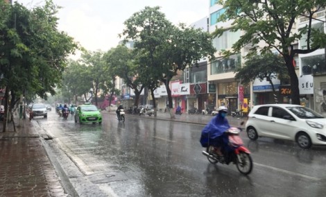 Cơn mưa 'vàng' giải nhiệt cho Hà Nội sau đợt nắng nóng kỷ lục