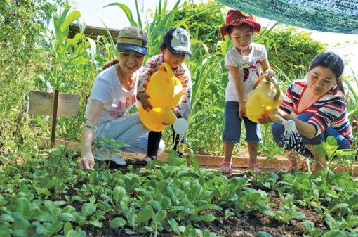 Con ký hợp đồng làm... nông dân