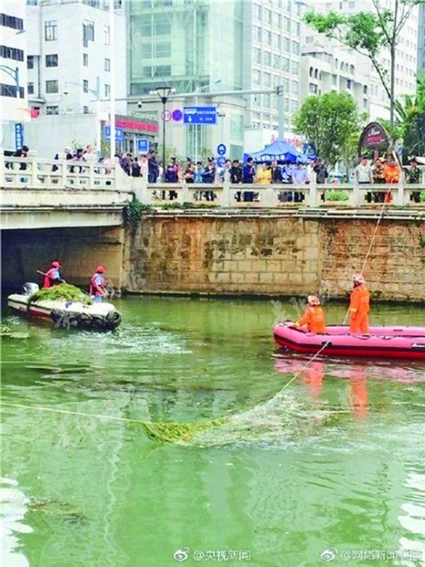 Cuu co gai nhay song tu tu, chang trai tre bo mang oan uong