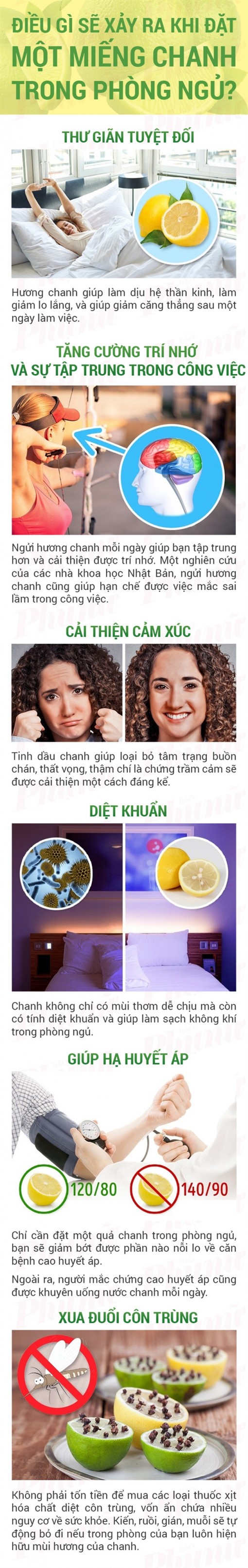 Đặt một lát chanh trong phòng ngủ, điều kỳ diệu này sẽ xảy ra