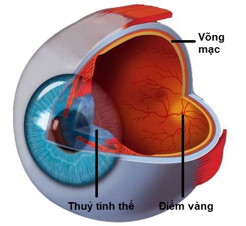 Thuoc nho mat 'than ky' cuu hang nghin nguoi khoi mu loa