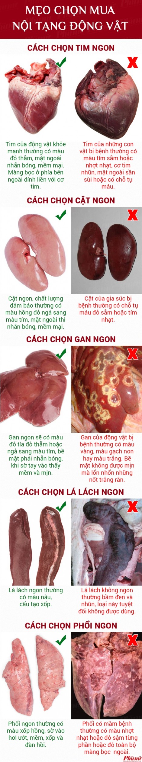 Mẹo chọn mua nội tạng động vật tươi ngon