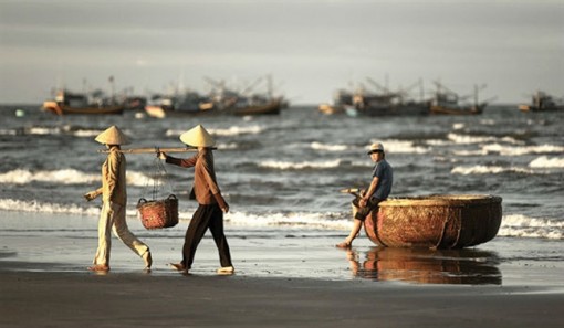 Tiếng gào thiết tha của mẹ