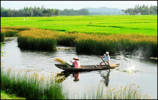 Con trai chọn người đàn bà cũ, má phản đối, ba im lặng