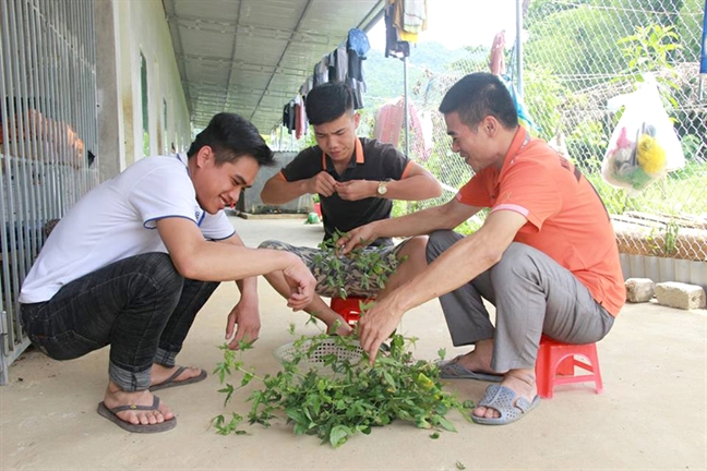 Thay giao di cho nau an, moi thi sinh va phu huynh o tro mien phi