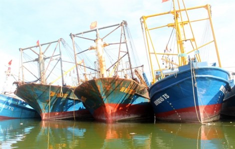 Thủ tướng chỉ đạo Bộ công an điều tra vụ 18 tàu vỏ thép hỏng nặng