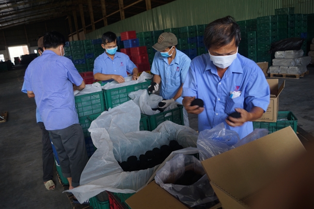 Xuat khau 20 container trung muoi sang Singapore