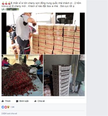 Cherry Trung Quoc re beo 120.000 dong/kg, dan buon rao riet san hang