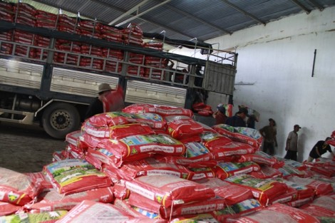 Hơn 100 tấn phân bón hết hạn vẫn được bán cho nông dân