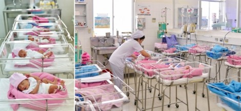 'Những vòng ôm che chở' - bộ ảnh đầy cảm xúc tại phòng chăm sóc bé sinh non (NICU)