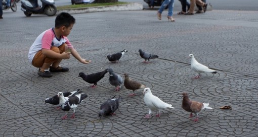 Thả con thực hành tiếng Anh ngoài phố, coi chừng 'giao trứng cho ác'