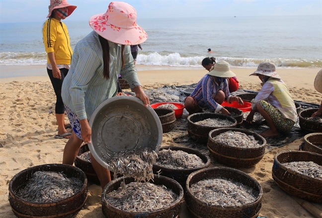 Sau bao so 2, ngu dan Hue kiem tien trieu moi sang nho trung dam ca com