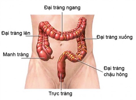 Đi cầu đau như đi… đẻ!