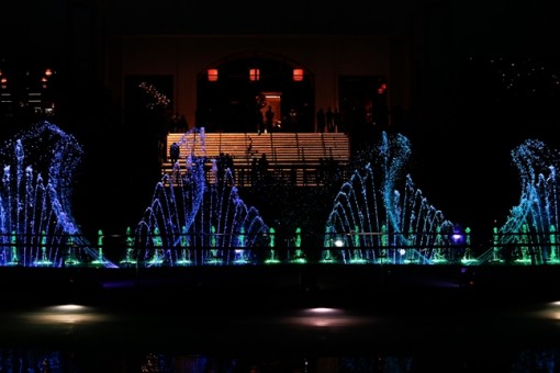 Hồ tràm về đêm với sao và phép màu