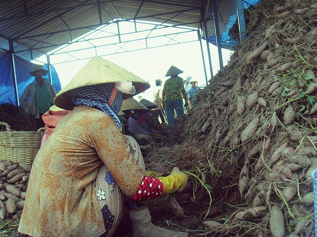 Hàng loạt hàng nong san  tiép tục cho... giai cuu