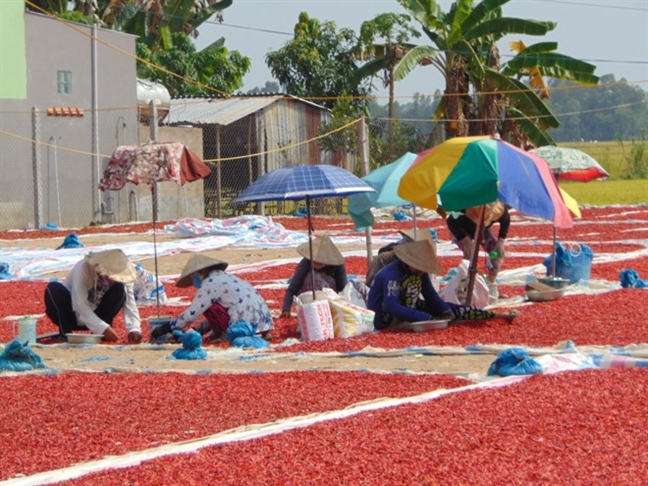 Hàng loạt hàng nong san  tiép tục cho... giai cuu