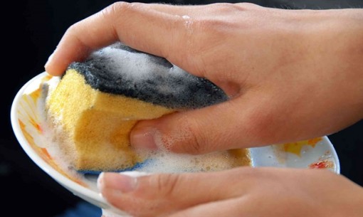 Hết hồn vì độ bẩn của miếng bọt biển rửa bát