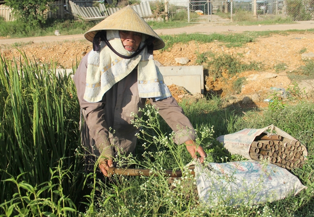 Nghe san dac san duoi cai nong 40 do C, kiem hon nua trieu/ngay