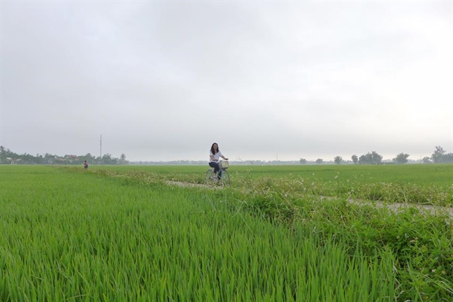 Thuong cho moi tinh ngheo nhu binh bat troi song