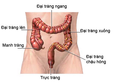 Lan dau ung dung thanh cong ky thuat nao hach chau trong dieu tri ung thu truc trang