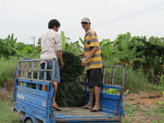 Hanh la tang gia bat thuong