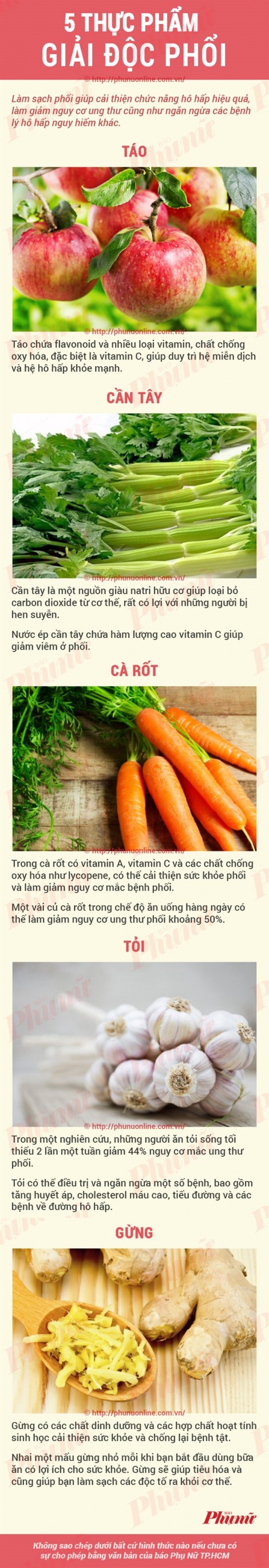 5 thực phẩm giải độc phổi