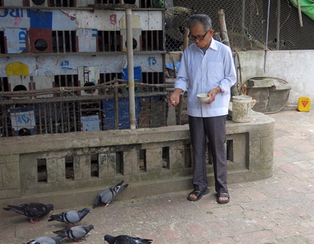 Cung canh mat vo, 2 ong sui o chung nha, ngu chung 1 giuong