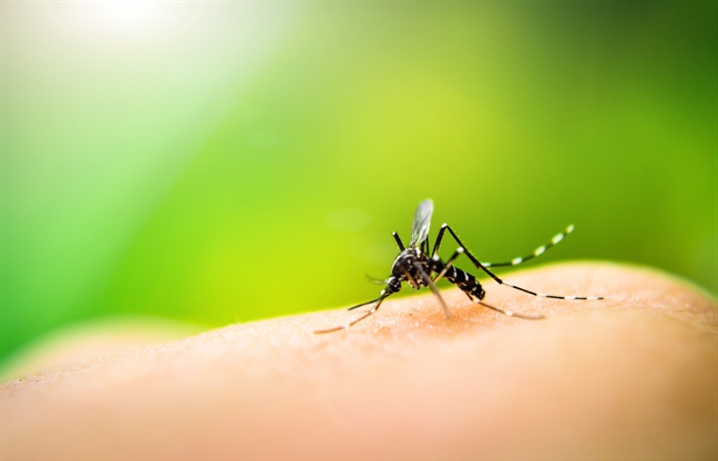 Dung virus Zika dieu tri ung thu nao